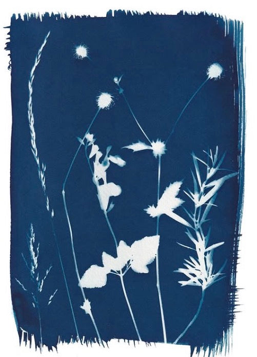 Hannah Carter Orton